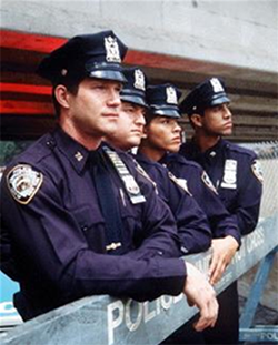 Diversity law enforcement essay